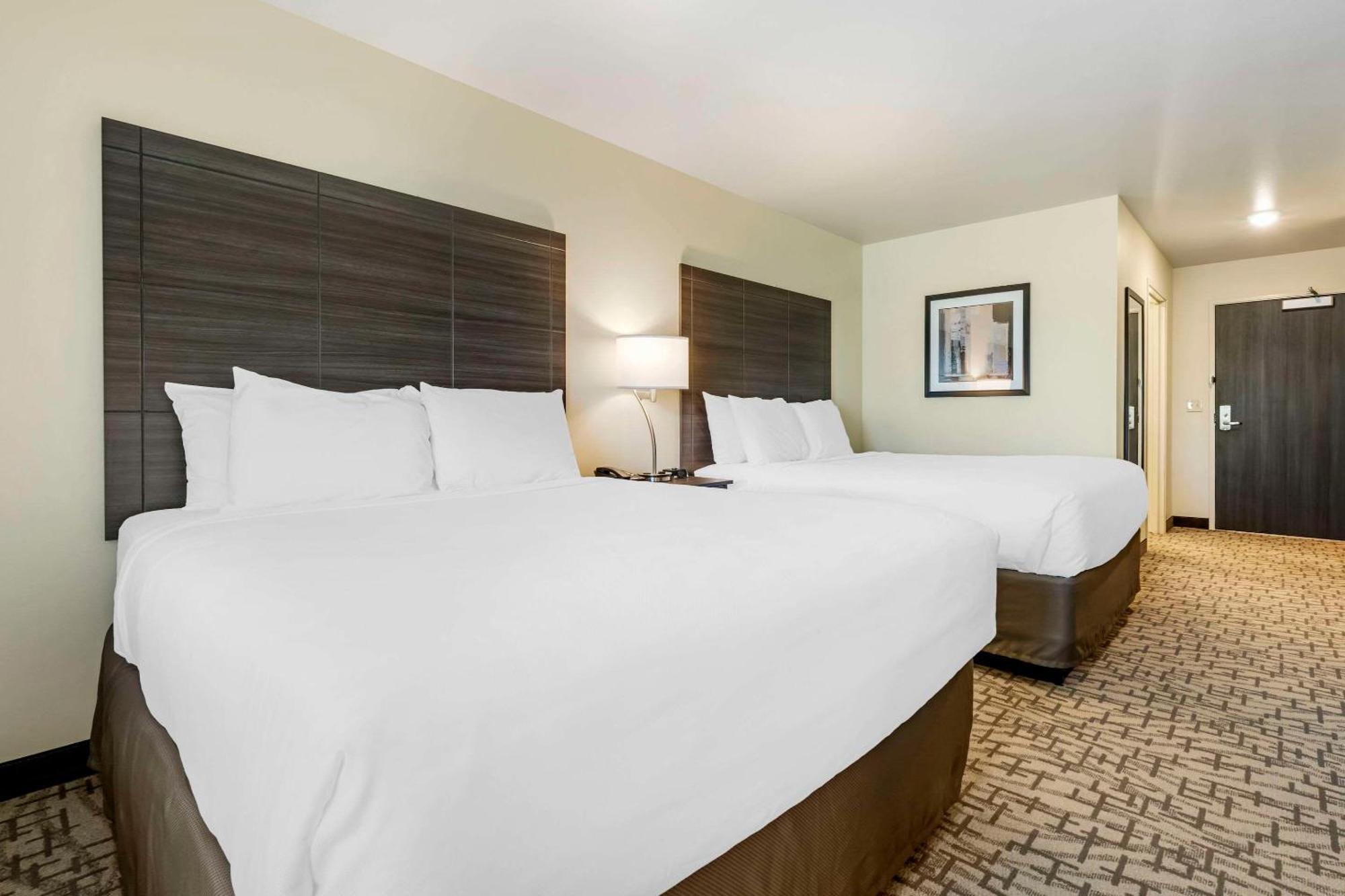 Medina Comfort Inn & Suites מראה חיצוני תמונה