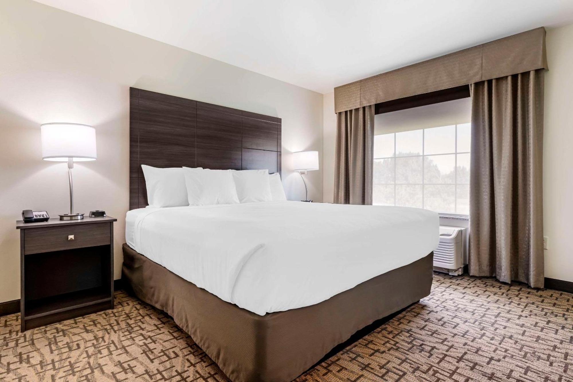 Medina Comfort Inn & Suites מראה חיצוני תמונה