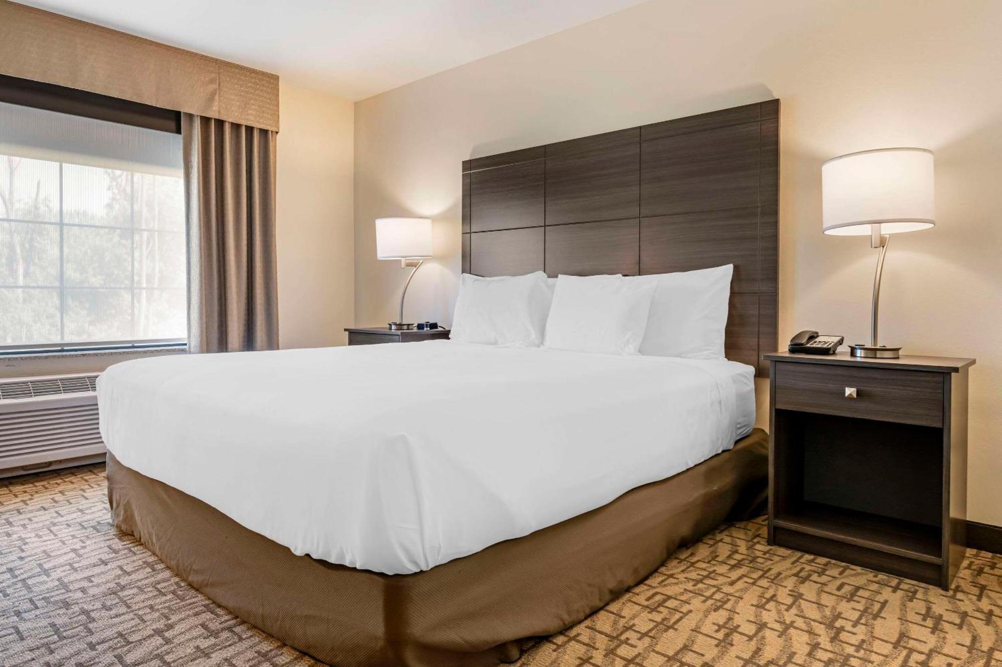 Medina Comfort Inn & Suites מראה חיצוני תמונה